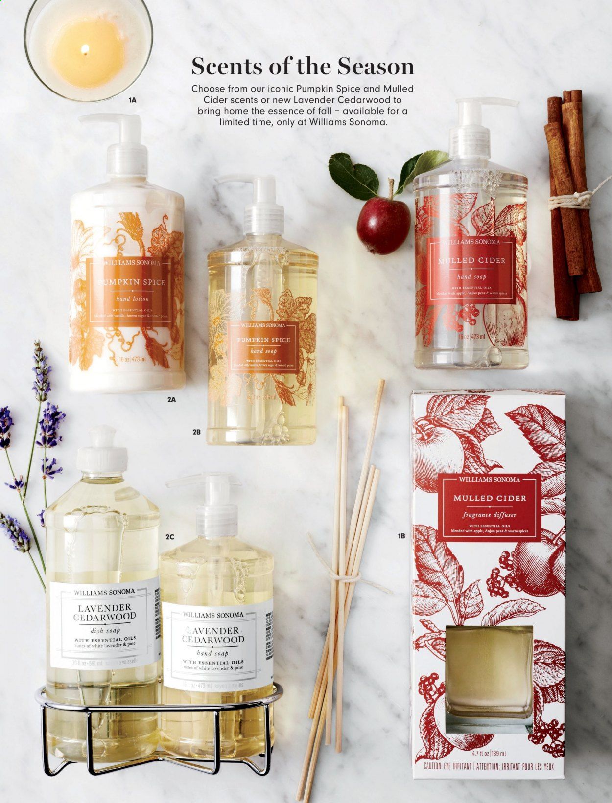 Williams-Sonoma Weekly Ad September 1 to September 30