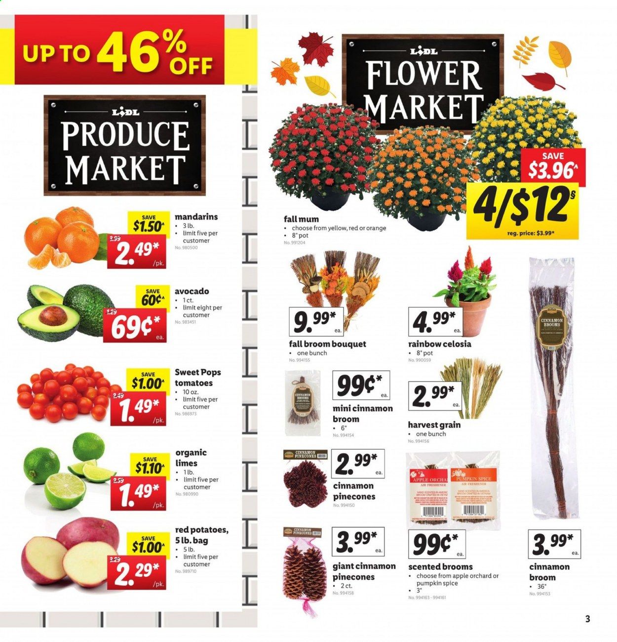 Lidl Weekly Ad September 2 to September 8