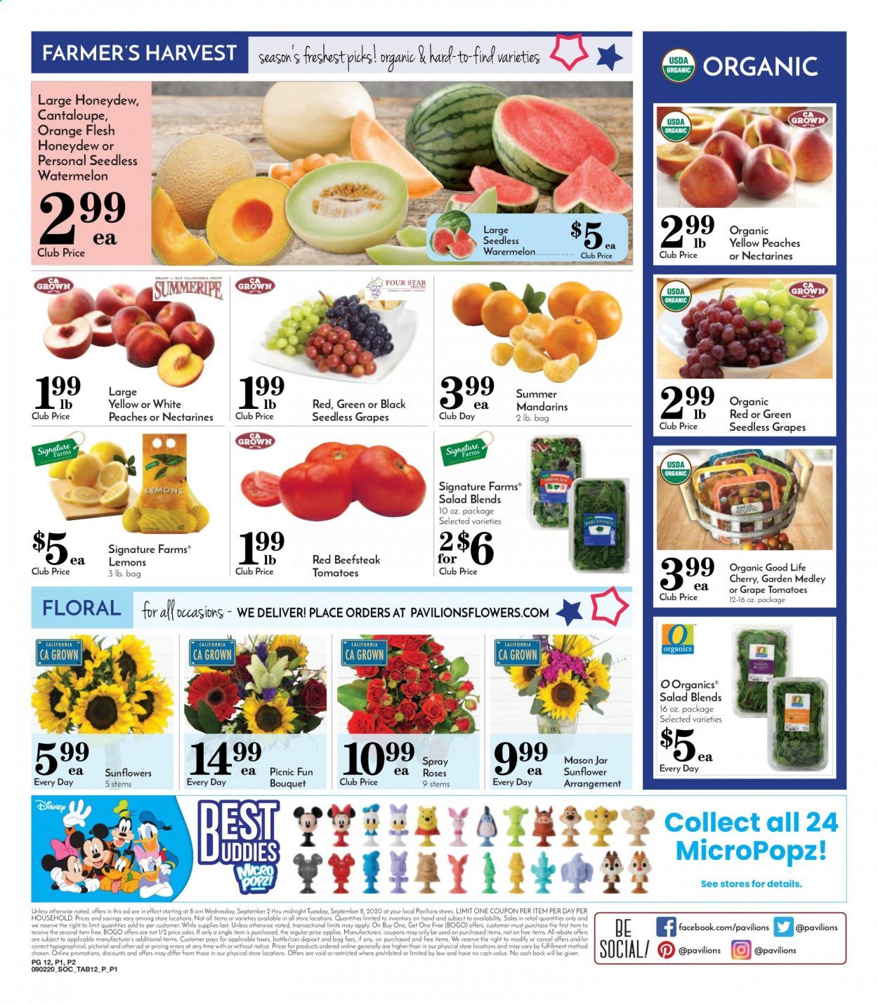 Pavilions Weekly Ad September 2 to September 8