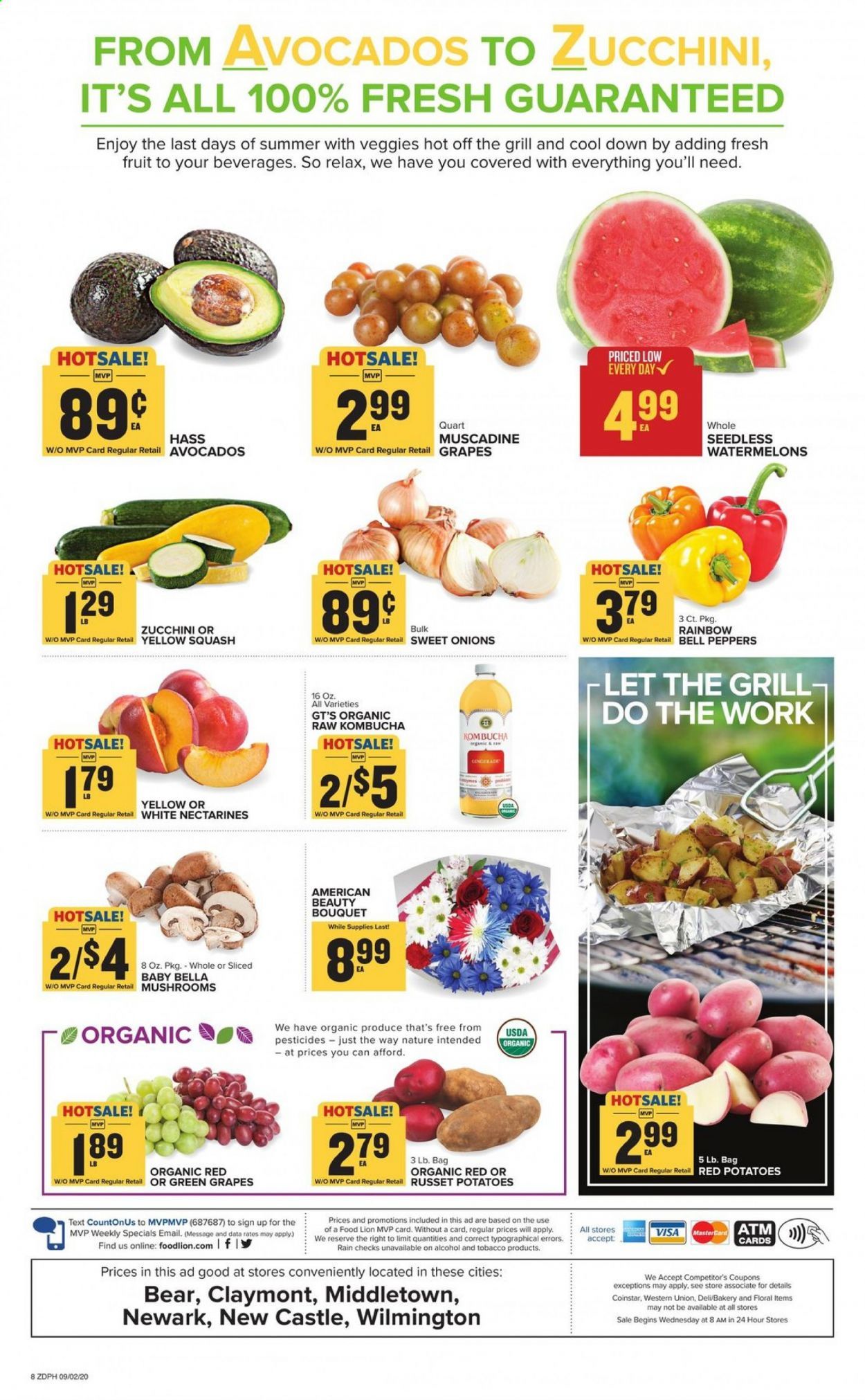 Food Lion (DE) Weekly Ad September 2 to September 8