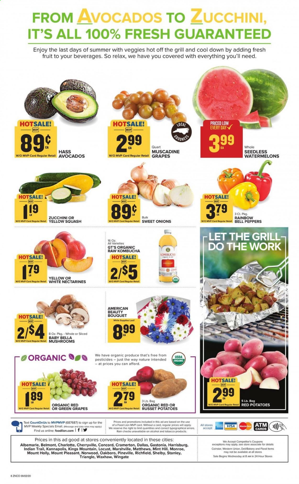 Food Lion (NC) Weekly Ad September 2 to September 8