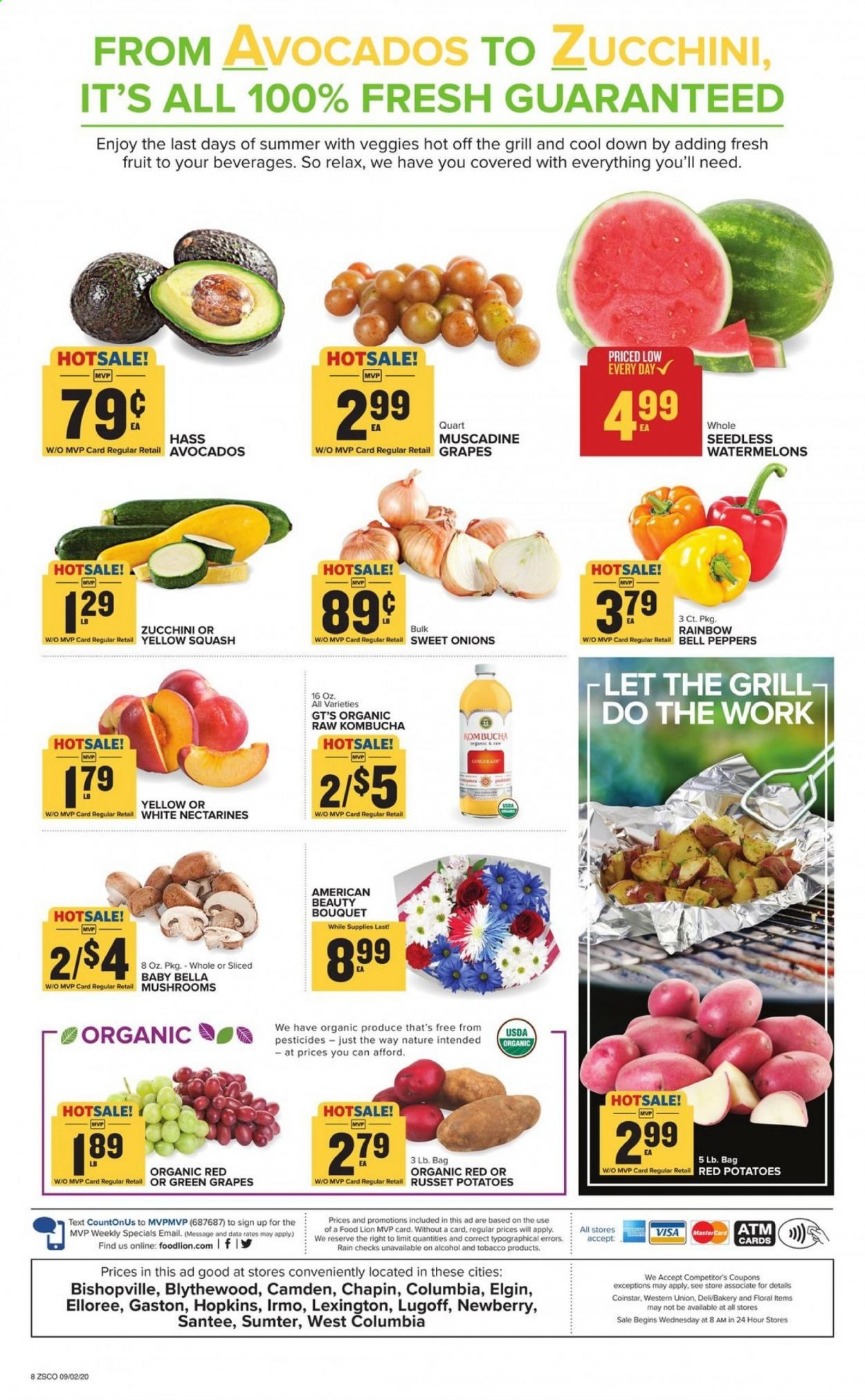 Food Lion (SC) Weekly Ad September 2 to September 8