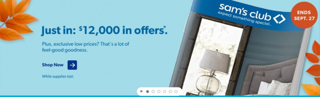 Sam's Club Catalog 2020-2021