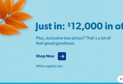 Sam's Club Catalog 2020-2021
