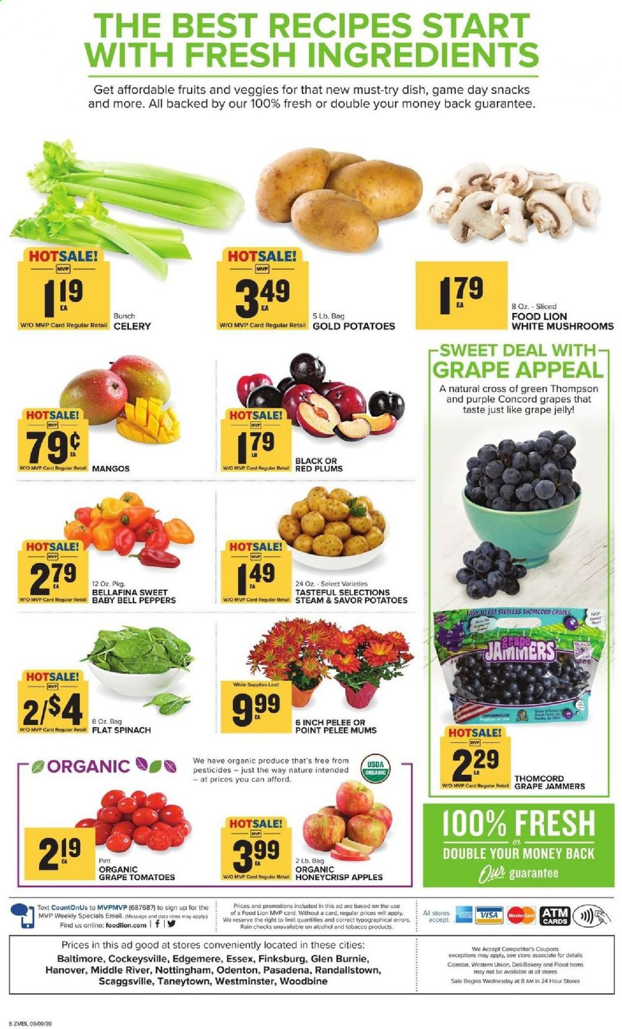 Food Lion (MD) Weekly Ad September 9 to September 15