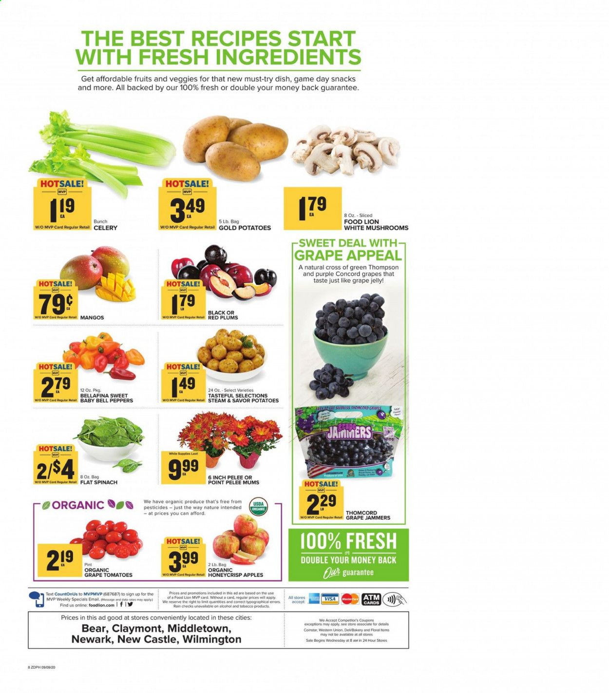 Food Lion (DE) Weekly Ad September 9 to September 15