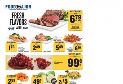 Food Lion (TN) Weekly Ad September 9 to September 15