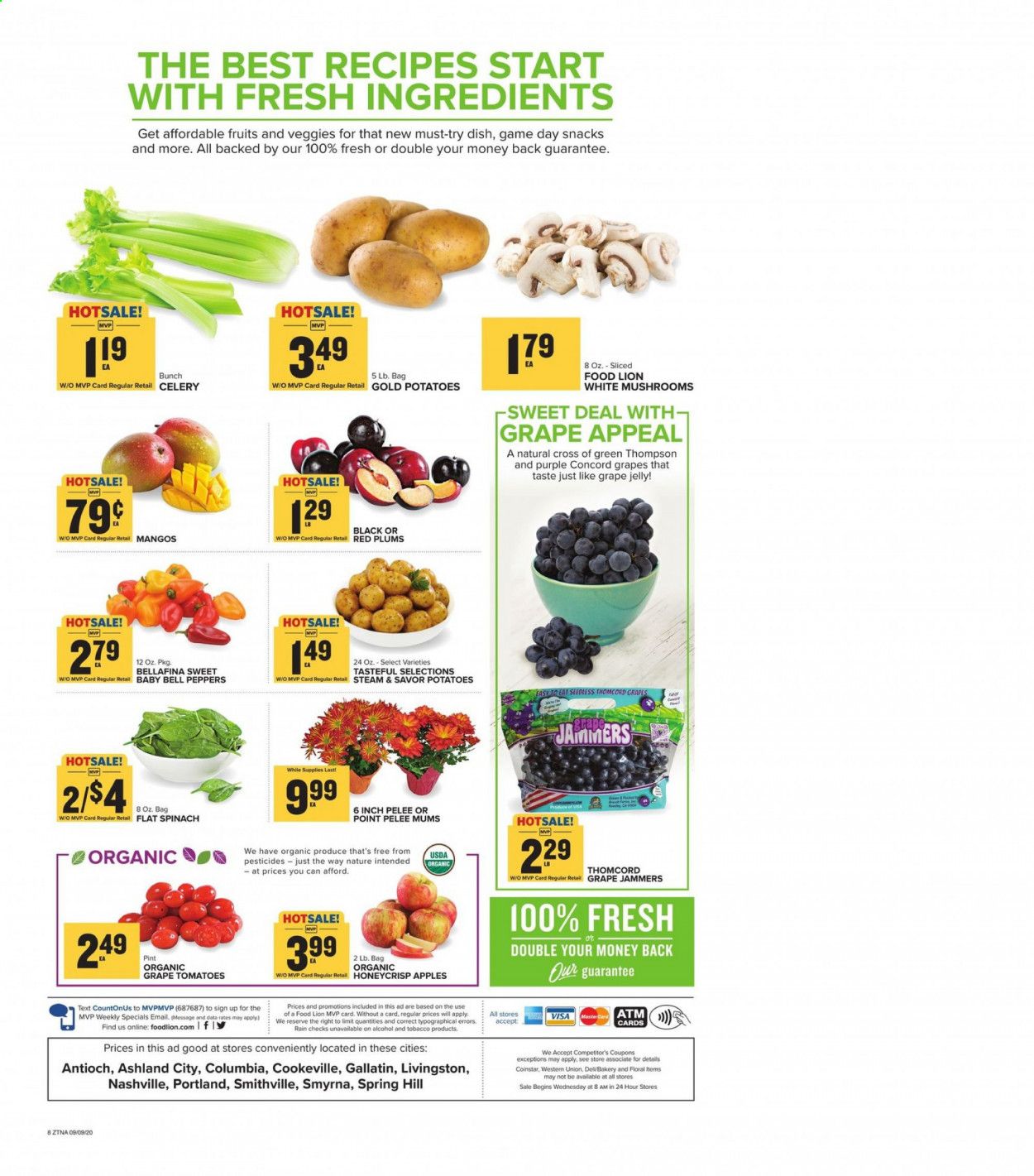 Food Lion (TN) Weekly Ad September 9 to September 15