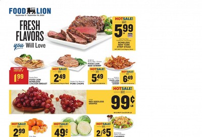 Food Lion (NC) Weekly Ad September 9 to September 15
