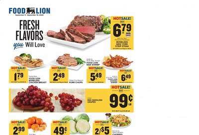 Food Lion (KY) Weekly Ad September 9 to September 15