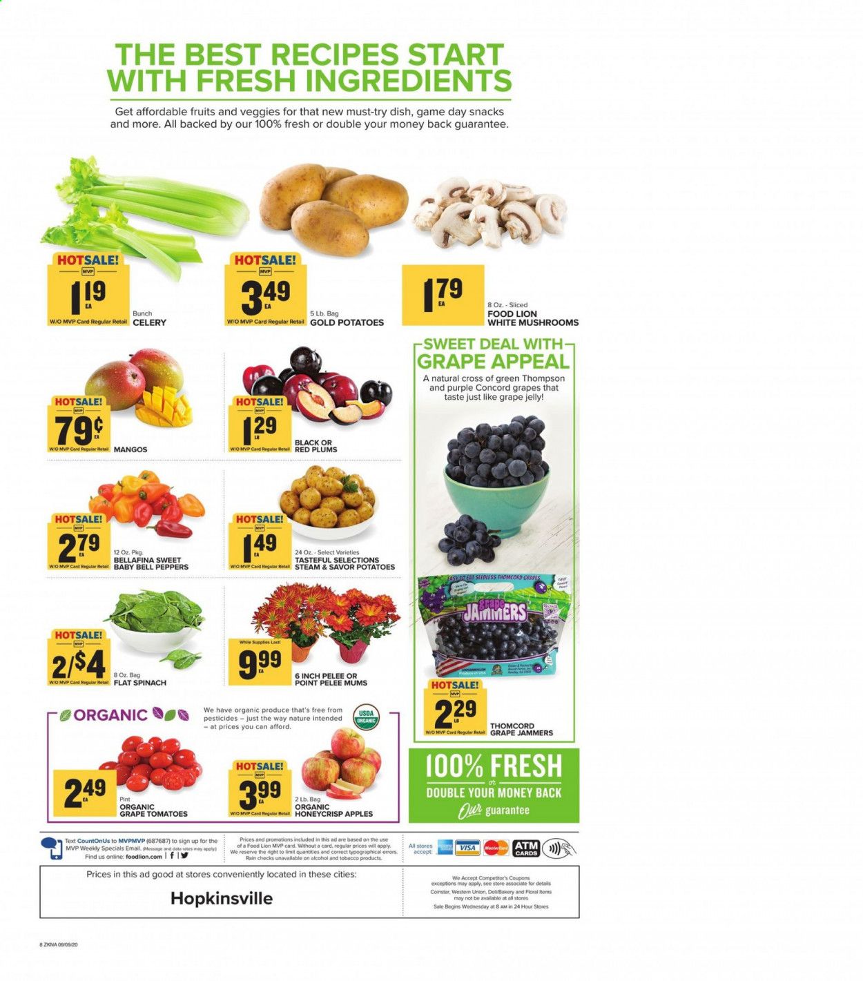 Food Lion (KY) Weekly Ad September 9 to September 15
