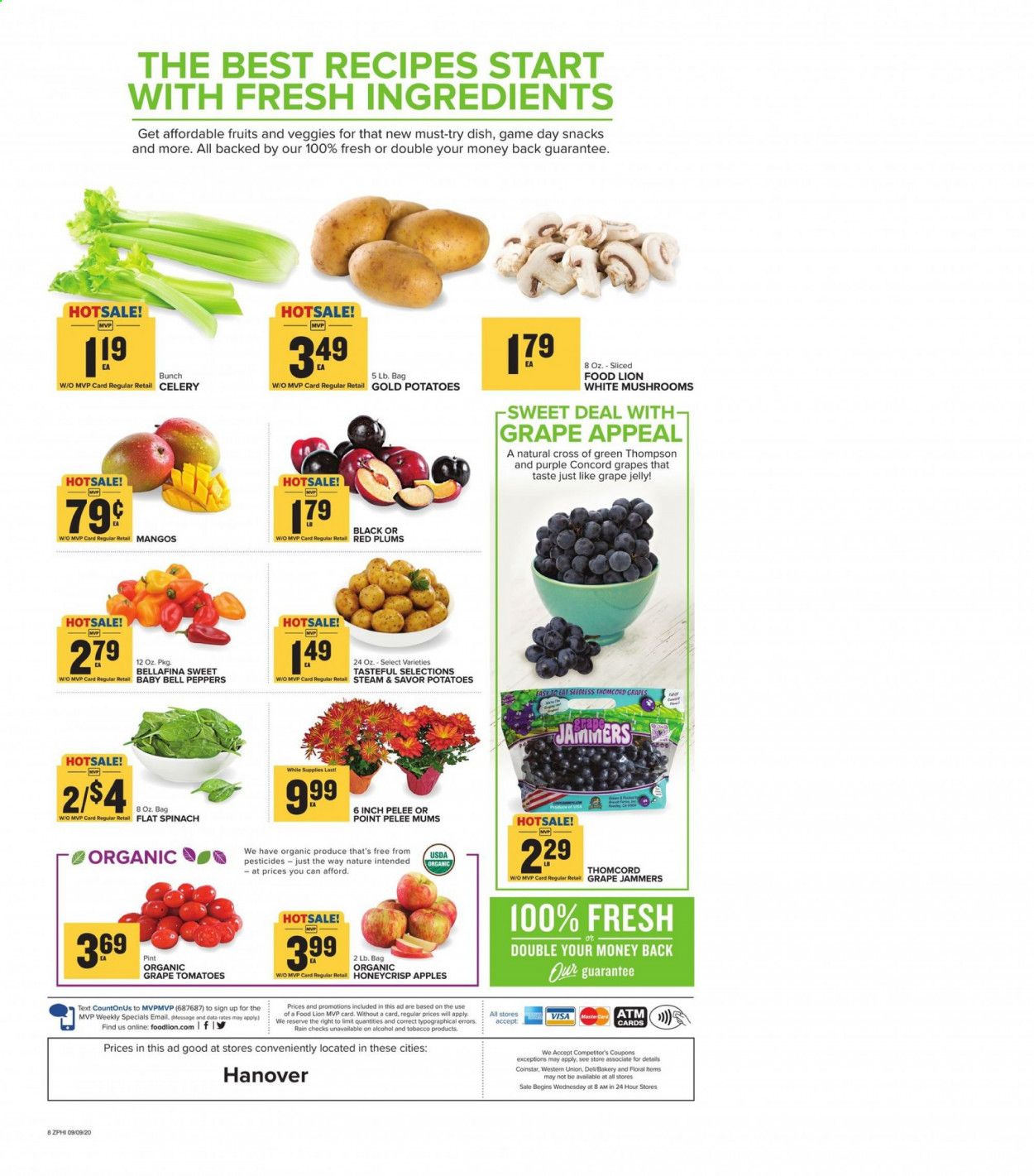 Food Lion (PA) Weekly Ad September 9 to September 15