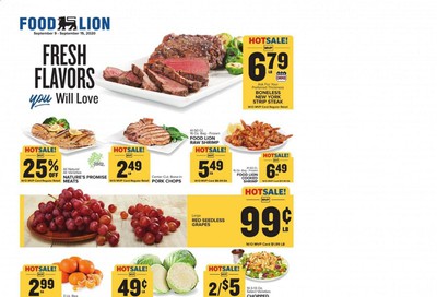 Food Lion (GA) Weekly Ad September 9 to September 15