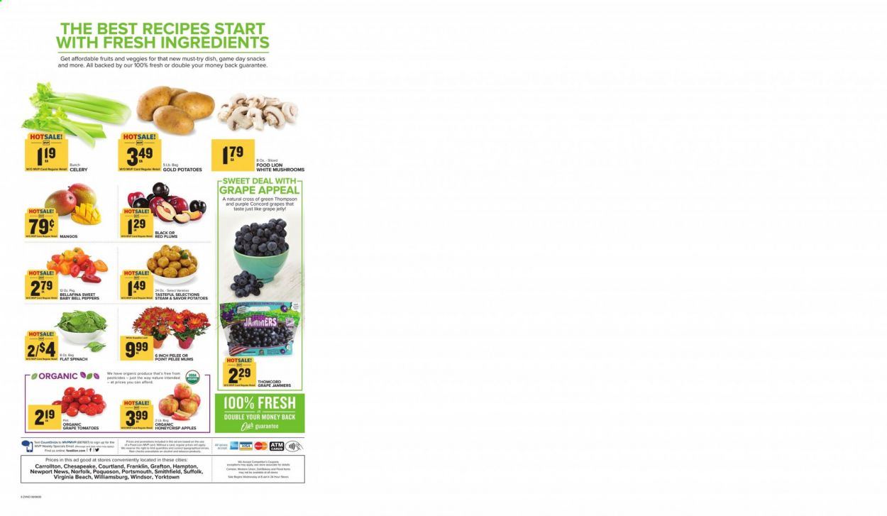 Food Lion (VA) Weekly Ad September 9 to September 15