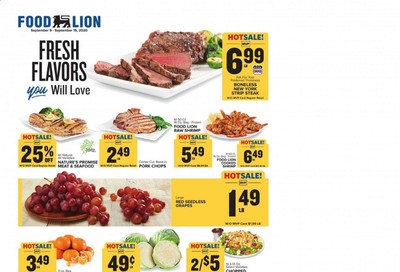 Food Lion (SC) Weekly Ad September 9 to September 15