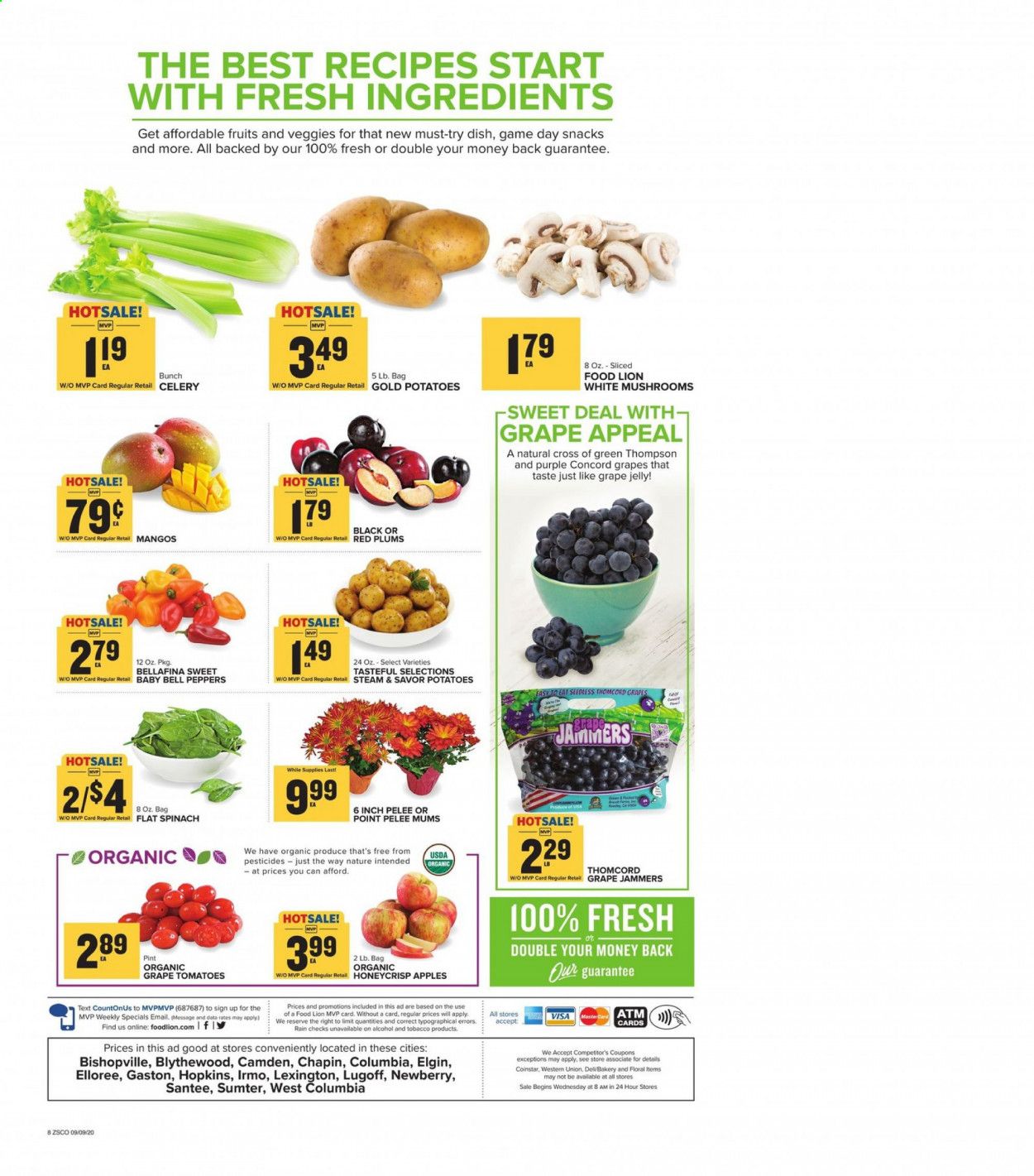 Food Lion (SC) Weekly Ad September 9 to September 15