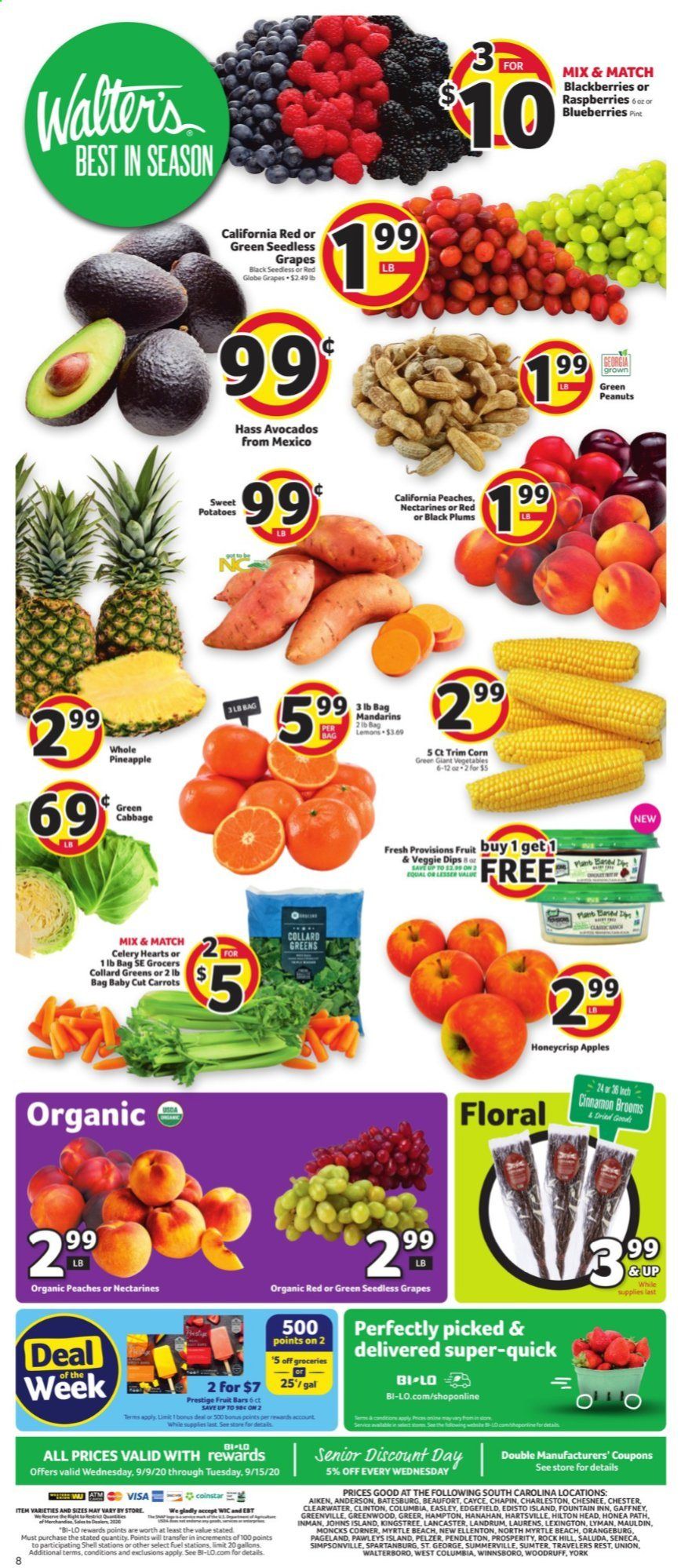 BI-LO Weekly Ad September 9 to September 15