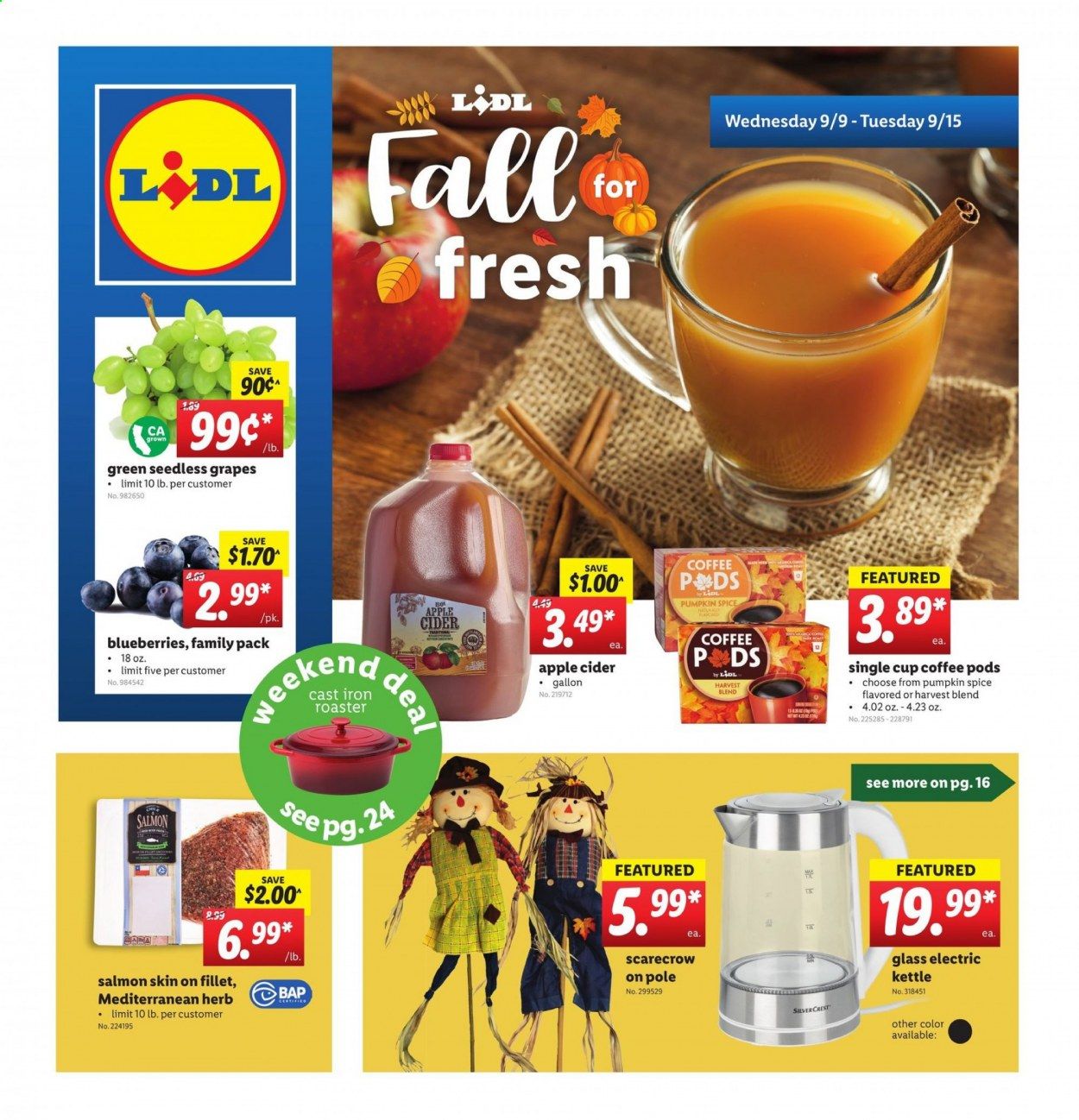 Lidl Weekly Ad September 9 to September 15