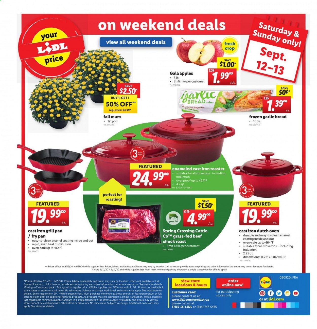 Lidl Weekly Ad September 9 to September 15