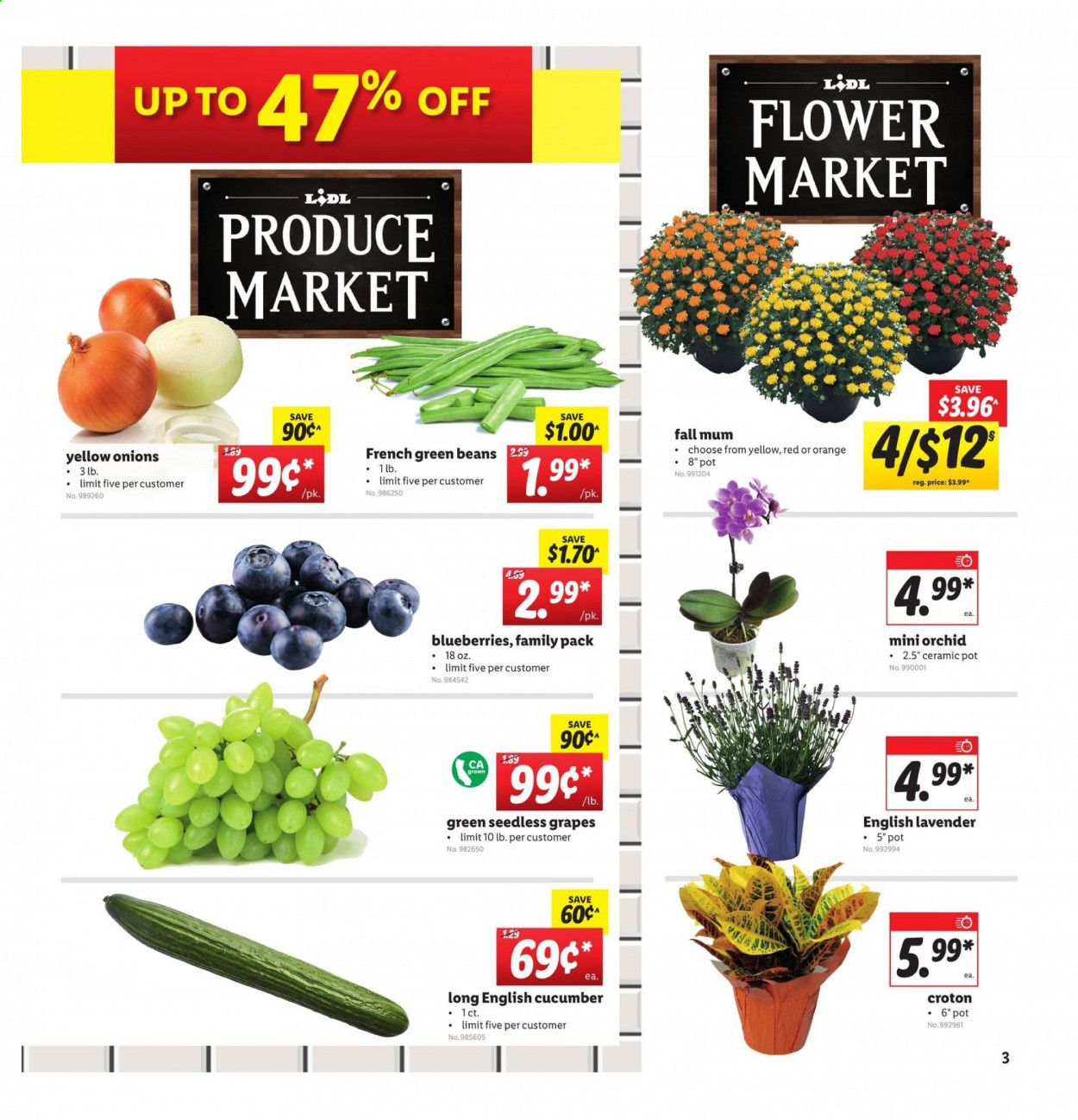 Lidl Weekly Ad September 9 to September 15