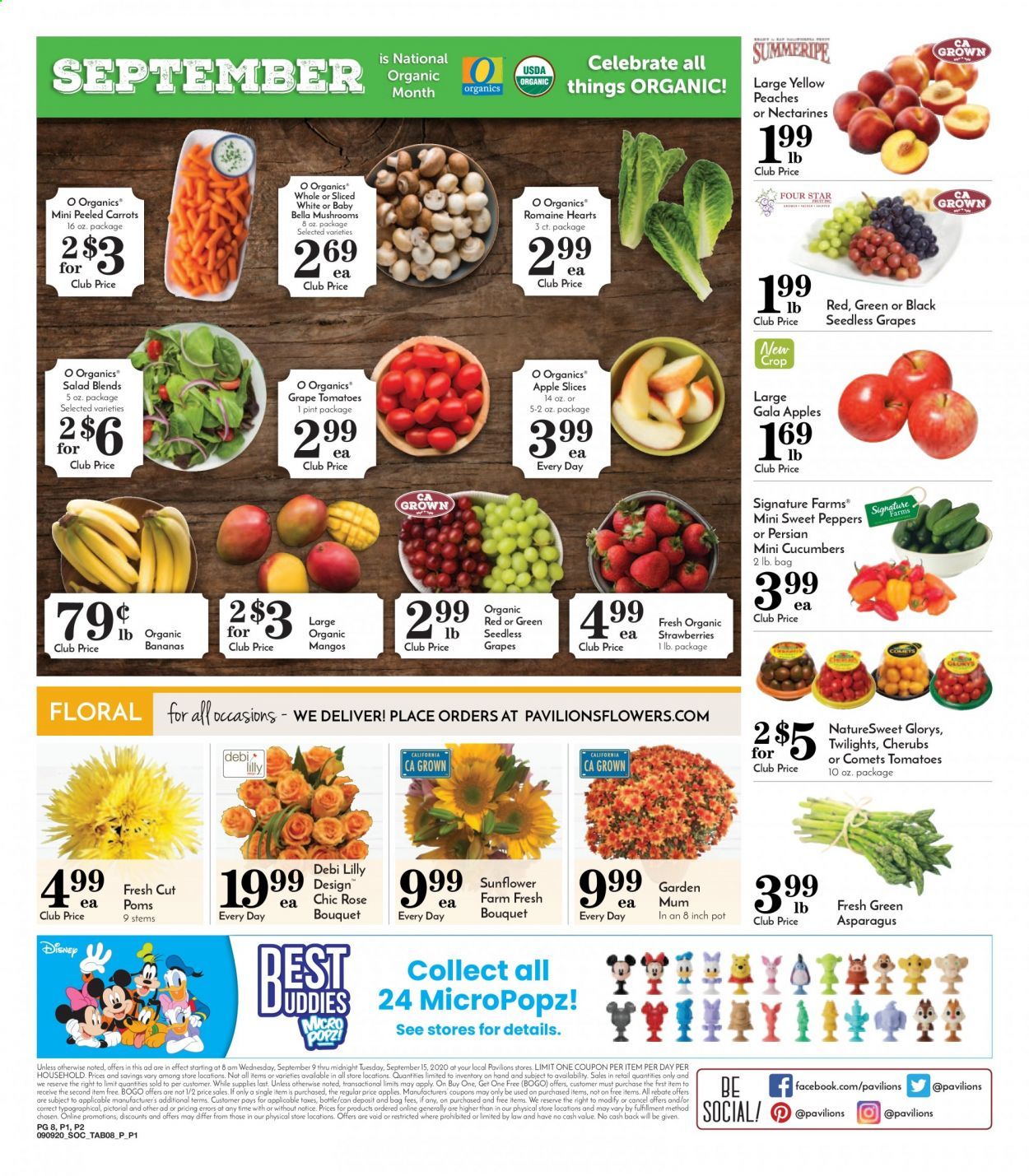 Pavilions Weekly Ad September 9 to September 15