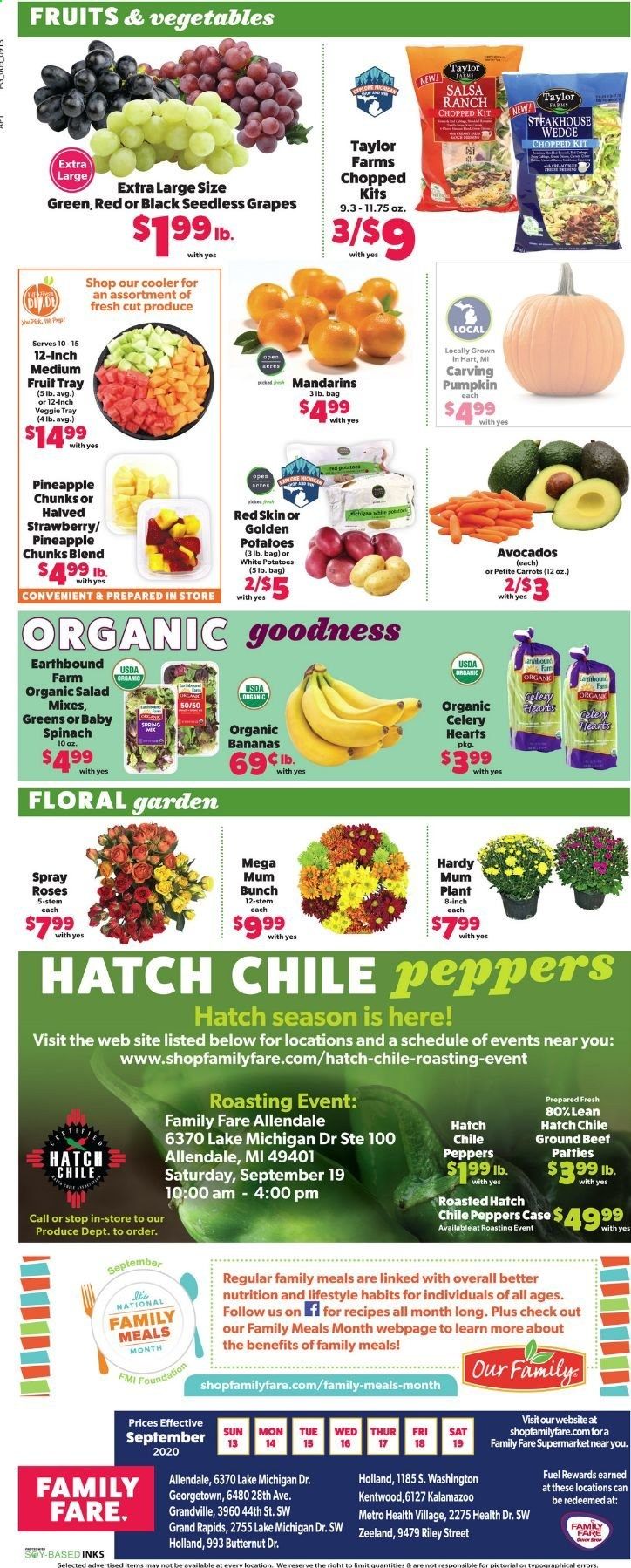 Family Fare Weekly Ad September 13 to September 19