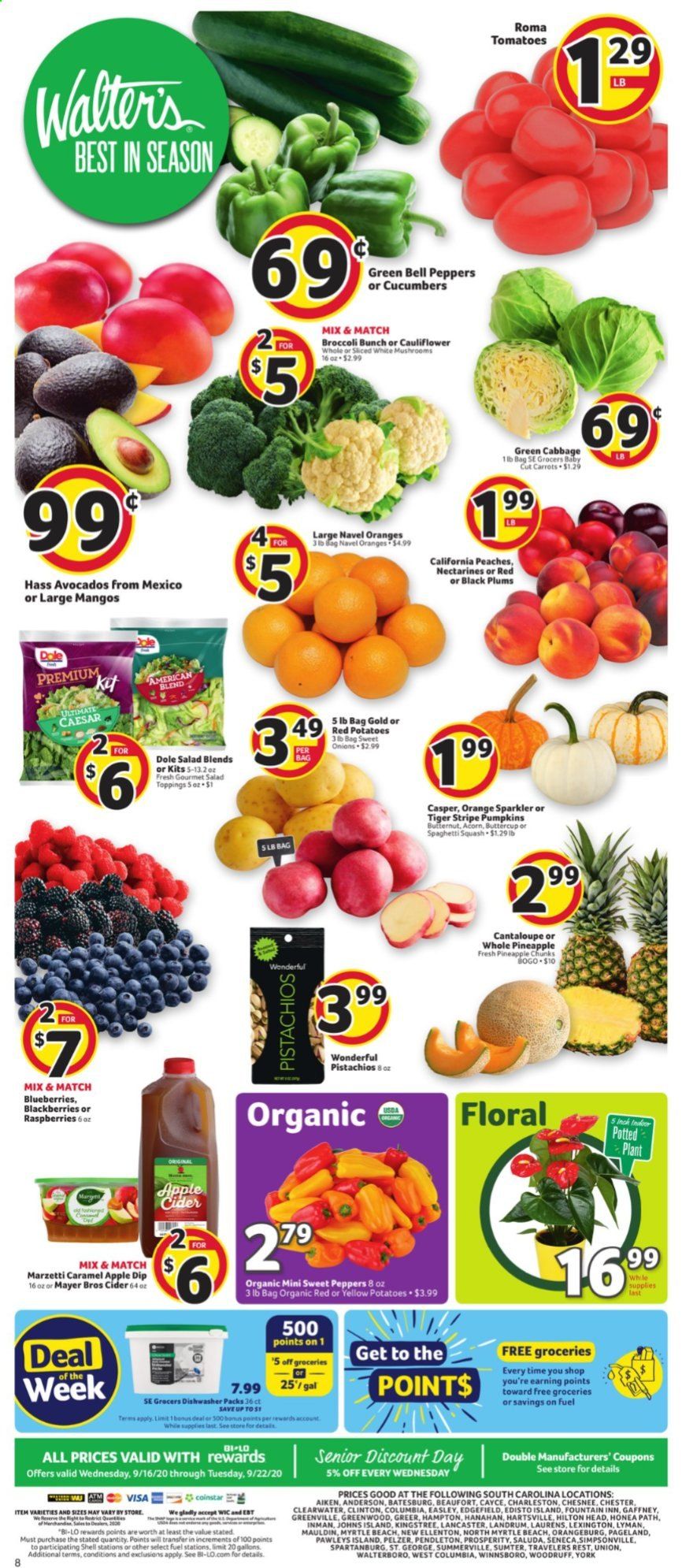 BI-LO Weekly Ad September 16 to September 22