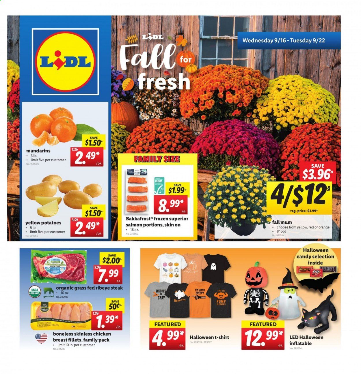 Lidl Weekly Ad September 16 to September 22