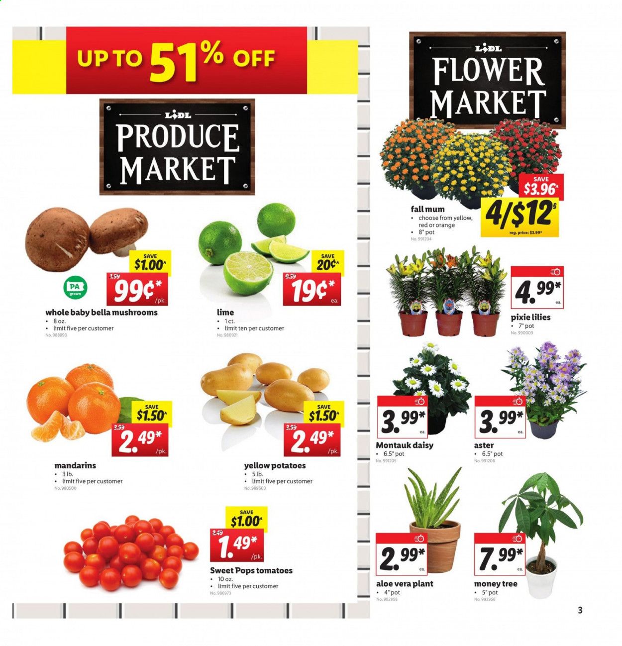 Lidl Weekly Ad September 16 to September 22