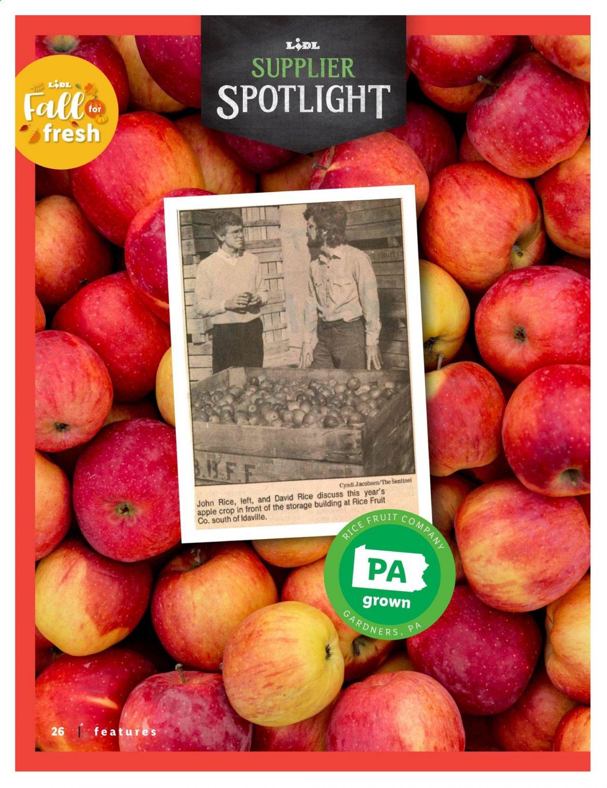 Lidl Weekly Ad September 9 to October 27