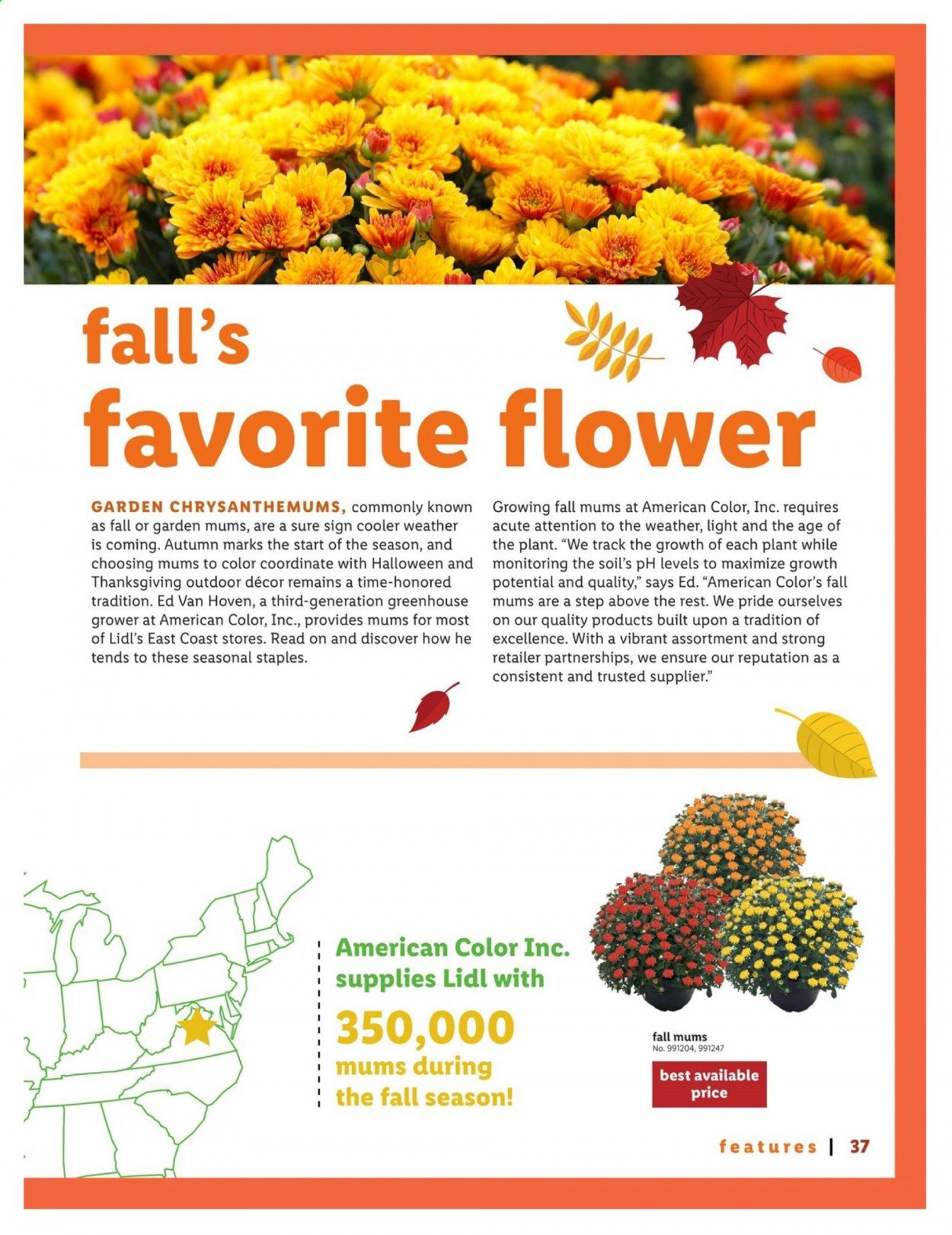 Lidl Weekly Ad September 9 to October 27