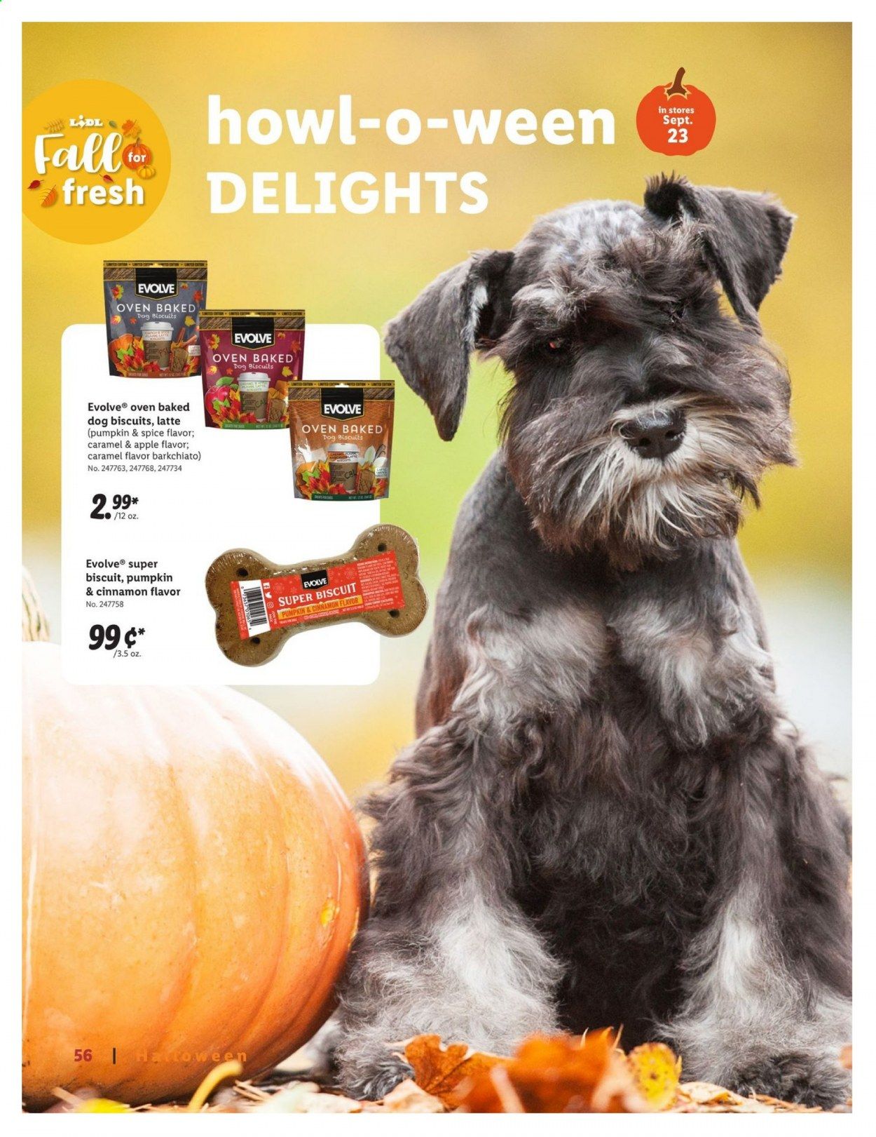 Lidl Weekly Ad September 9 to October 27