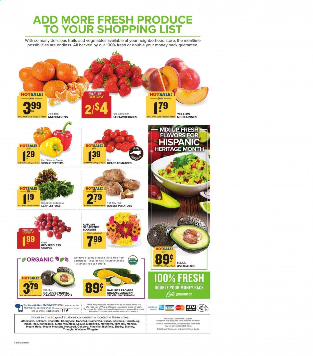 Food Lion (NC) Weekly Ad September 16 to September 22