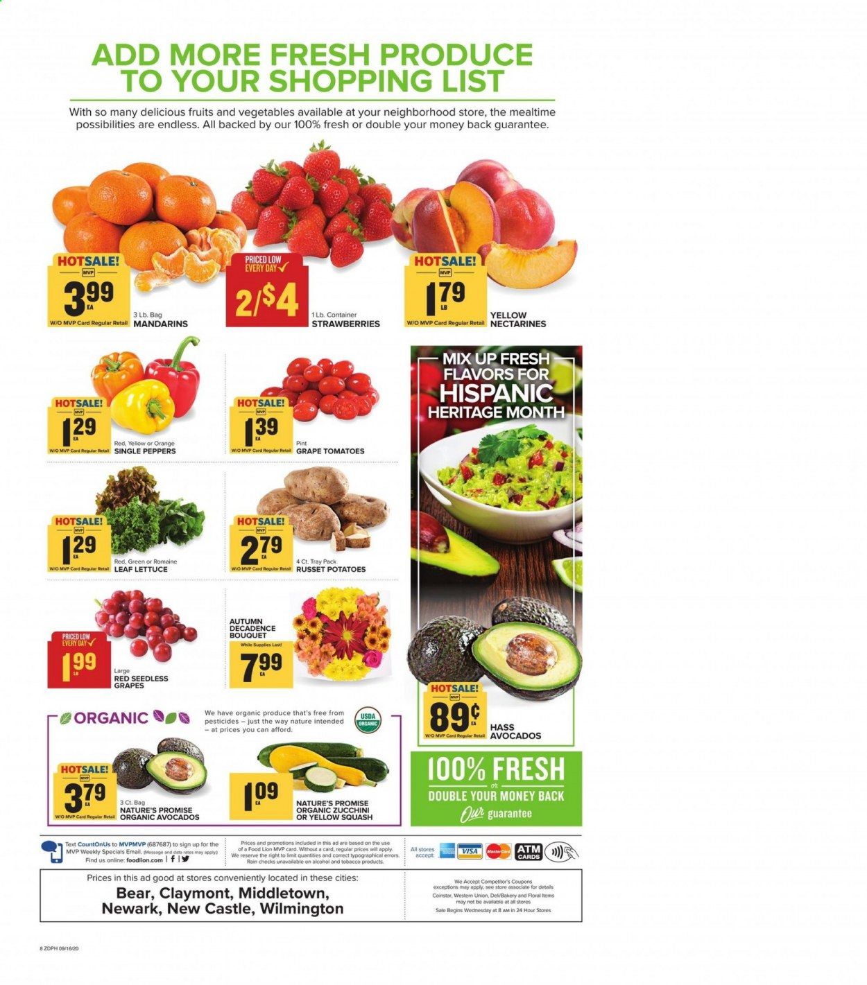 Food Lion (DE) Weekly Ad September 16 to September 22