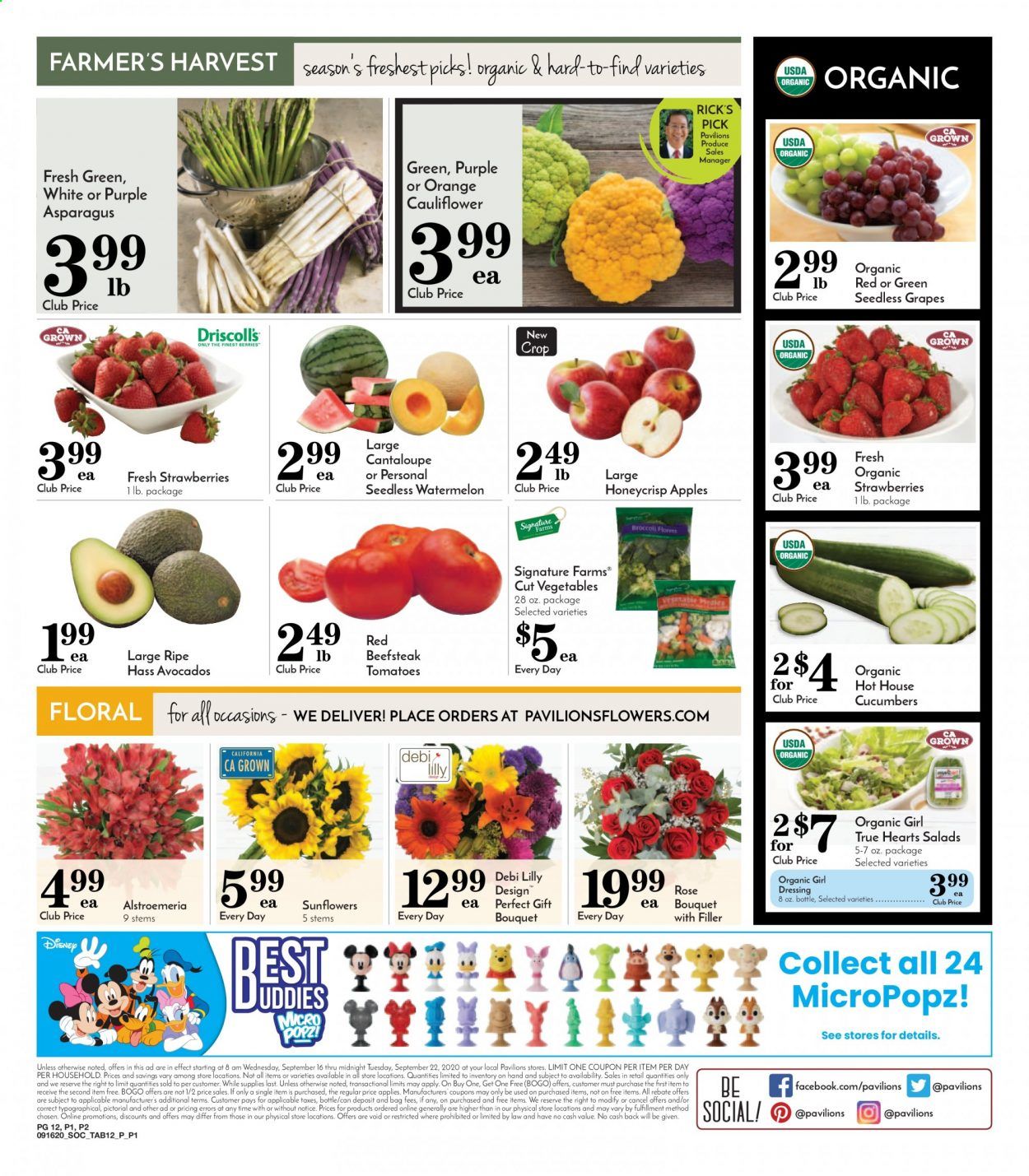 Pavilions Weekly Ad September 16 to September 22